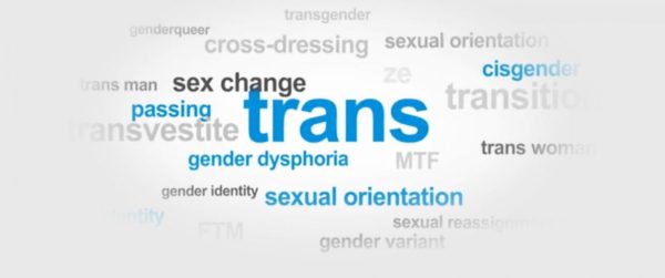 Transgender 201: Specific Care and Referrals for Trans* Clients